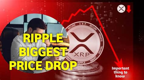 XRP Recently Witnessed Its Biggest Price Drop In Five Months I XRP NEWS