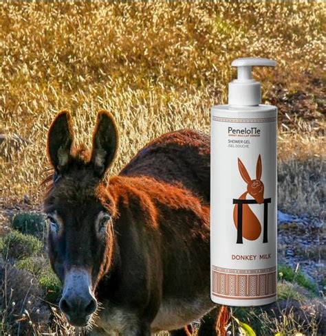 Shower gel - Donkey milk (500ml)