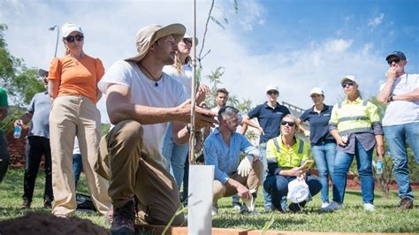 Holcim Argentina realizó una jornada de reforestación y limpieza del