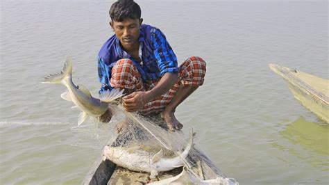 Natural Fishing In Bangladesh Catfish Catching Youtube