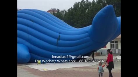 15m Length Giant Inflatable Whale For Advertising Decoration Youtube