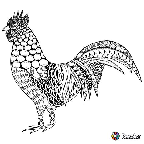 Adult Of Rooster Coloring Pages