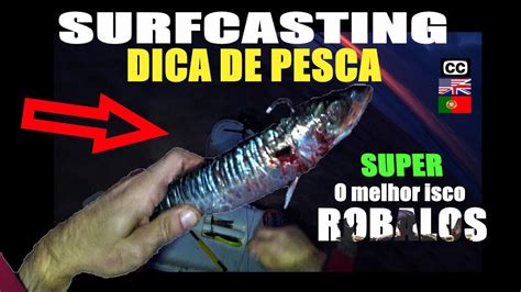 Surfcasting O Melhor Isco Pescaria Robalo Portugal Pesca 2021