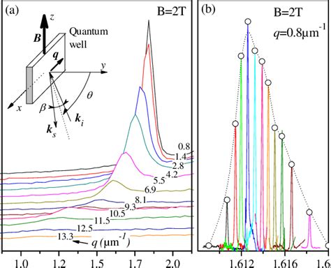 Color Online A Typical Crossed Polarized Raman Spectra Obtained On