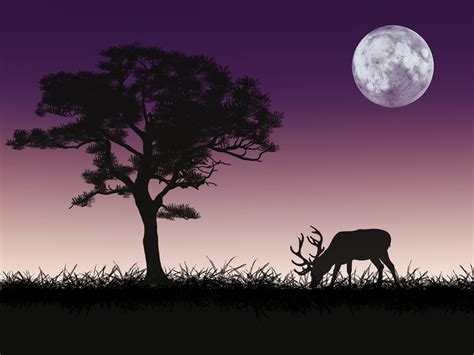 Download Deer, Silhouette, Background. Royalty-Free Stock Illustration Image - Pixabay