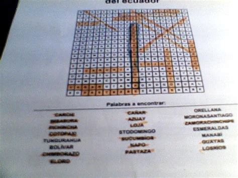 Sopa De Letras Con Las 24 Provincias Del Ecuador Respuestas Brainly Lat