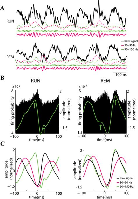 State Dependence Of Theta Phase Locking Of Gamma Frequencies A Example