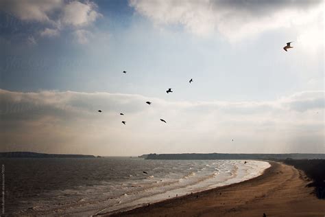 "A View Of South Beach, Tenby In Wales." by Stocksy Contributor "Helen Rushbrook" - Stocksy