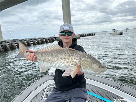 Image Snook Nook Bait Tackle Jensen Beach Florida