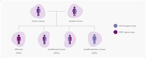 Genetics and MPS I | Aldurazyme Patient