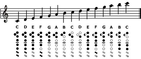 Simple Recorder Fingering Chart Inputwide