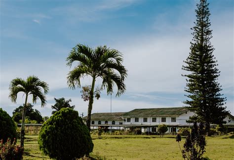 residence mountain view college