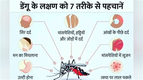 Dengue Fever Symptoms Degu Ke Lakshan Dengu Ka Ilaj Degu Se Bachne Ke