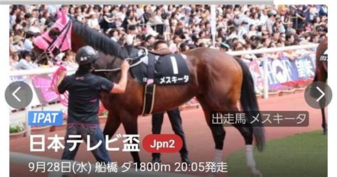 928水🔥重賞勝負レース🔥『船橋11 日本テレビ盃』ここは本命は狙ってた馬だから自信あり。『船橋10レース』も予感する｜🎴mayuto弟