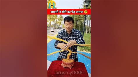 आदमी ने सोने से बनाया गजब का पेड़ 🌴😲mini Wood Toy Woodworking Art Skill