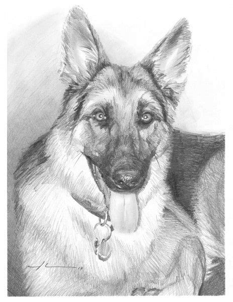 Mike Theuer Pet Portraits Gallery Sample Pet Drawings And Paintings