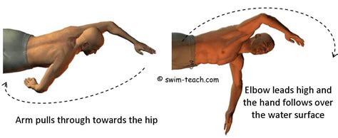 Front Crawl Arm Technique 3 Steps To Smooth And Easy Arm Movements