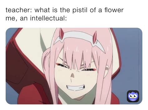 Teacher What Is The Pistil Of A Flower Me An Intellectual