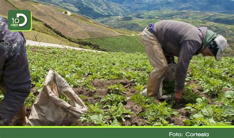 Minagricultura Anunci Subsidio Para A Peque Os Productores