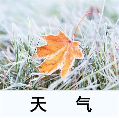 天气“大变脸”！断崖式降温 大范围降雨即将抵达济南！记得添衣！ 气温 夜间 影响