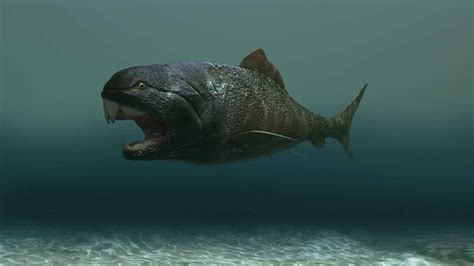 Discover 6 Incredible Devonian Period Animals - A-Z Animals