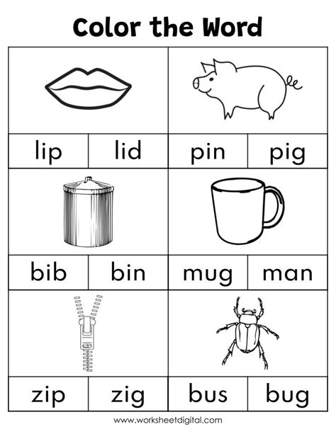 Cvc Words Say And Write The Cvc Words Phonics Worksheets