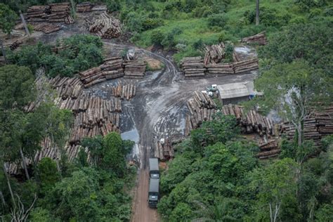 Estudo revela que 68 das áreas protegidas na Amazônia estão sob ameaça