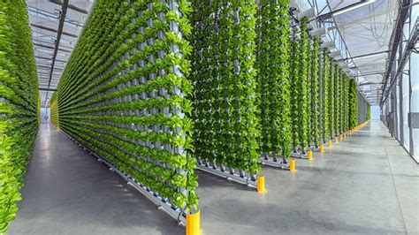 11 Vertical Farming Advantages Complete Breakdown Eden Green