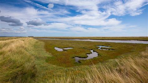 Booking Your Visit To Orford Ness Suffolk National Trust