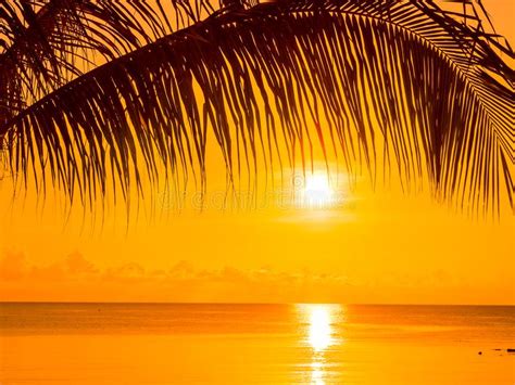 Beautiful Tropical Beach Sea And Ocean With Coconut Palm Tree At Stock