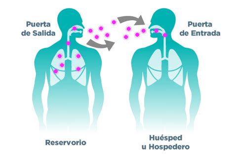 Curso Lavado Manos