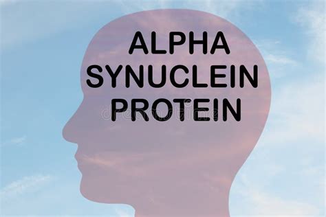 Alpha-synuclein Fibril Structure, Determined by Solid-state NMR ...