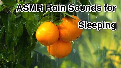 ASMR Rain Sounds For Sleeping Instantly Fall Asleep With Rain And