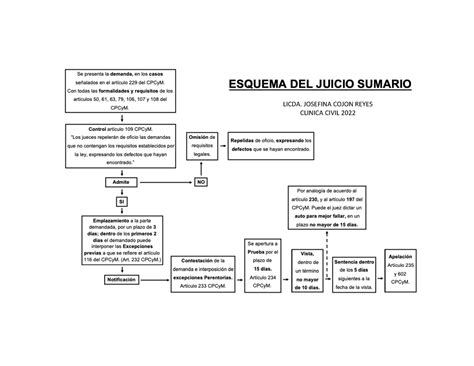 Esquema De Juicio Sumario En Guatemala Image To U