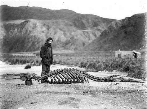 Rare And Amazing Photographs From The First Australasian Antarctic ...