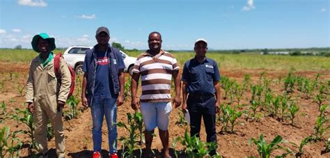 Avaliação de potenciais PROMEZA Agência do Zambeze