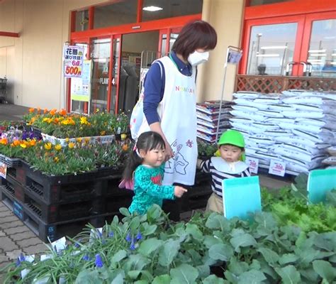 野菜の苗を買いに行ってきました！（2023413） さくらんぼ ちびっ子保育園 ブログ