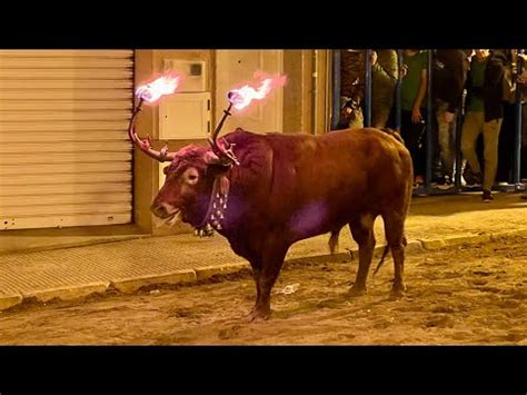 Toros Onda Barrio La Morer A Tarde De Vacas Y Toro Cerril De La