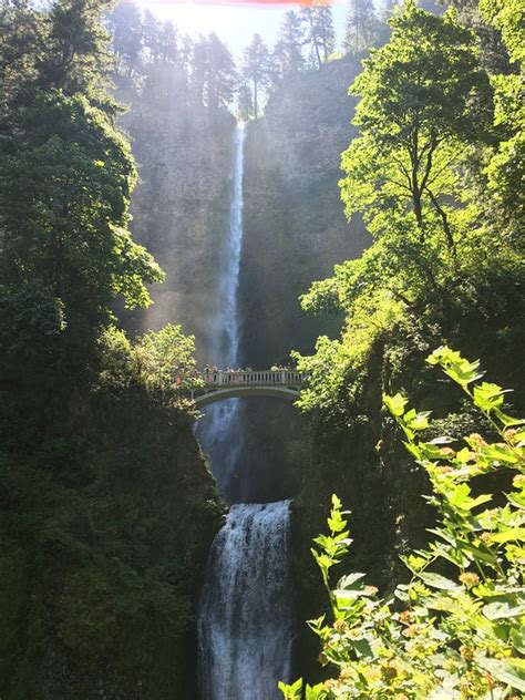 Oregon Waterfall Hiking - Free photo on Pixabay - Pixabay