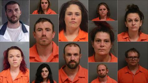 North Georgia Lumpkin County Drug Trafficking Bust Arrested Wmaz