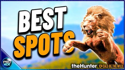 Best Hotspots To Get A Diamond Lion Thehunter Call Of The Wild