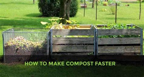 Mastering The Art Of Composting A Comprehensive Guide To Efficient And