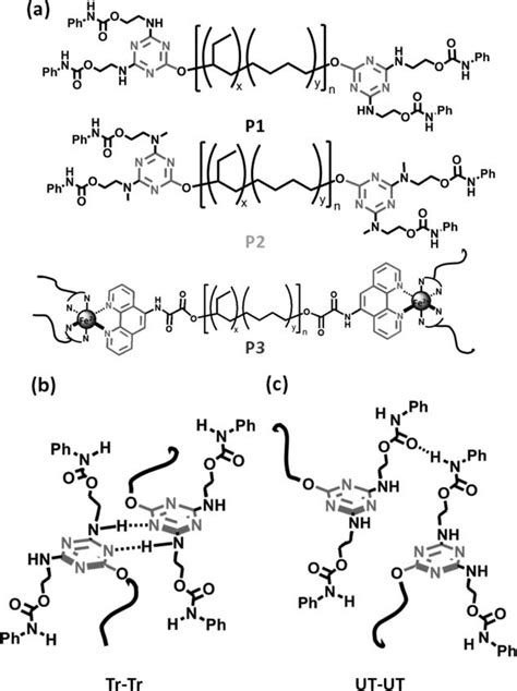 A Chemical Structures Of H Bonded Supramolecular Polymers P1 P2 And Download Scientific