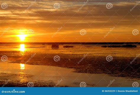 Wetlands Sunrise stock image. Image of sunrise, wetlands - 36353229