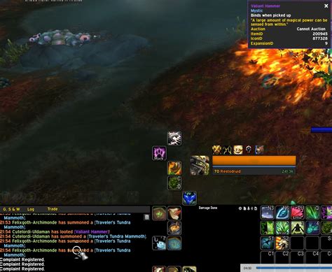 farming bots    df rwow