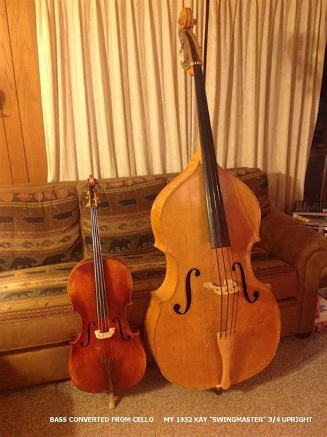 Difference Between Cello And Bass