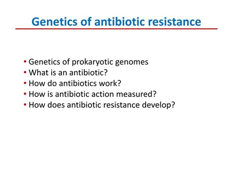 Ppt Genetics Of Antibiotic Resistance Powerpoint Presentation Free