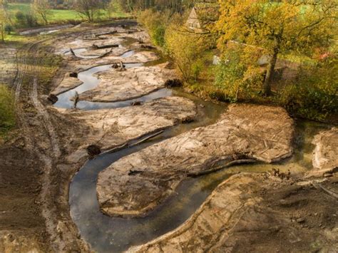 Mehr Natur fürs Gewässer Renaturierung Bockhorster Bach Stadt Versmold