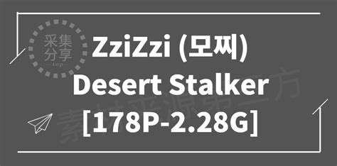 [djawa ]zzizzi 모찌 Desert Stalker [178p 2 28g] 采集号