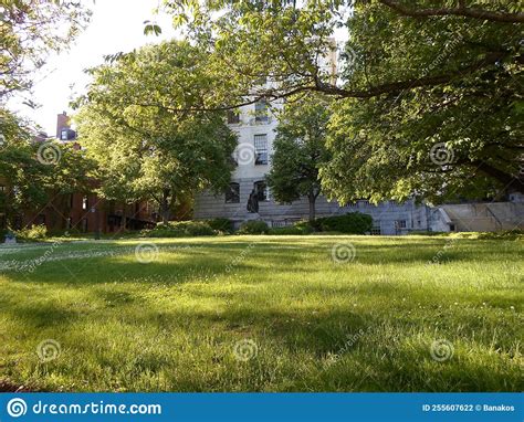 Anne Hutchinson Statue, Massachusetts State House, Boston, MA, USA ...